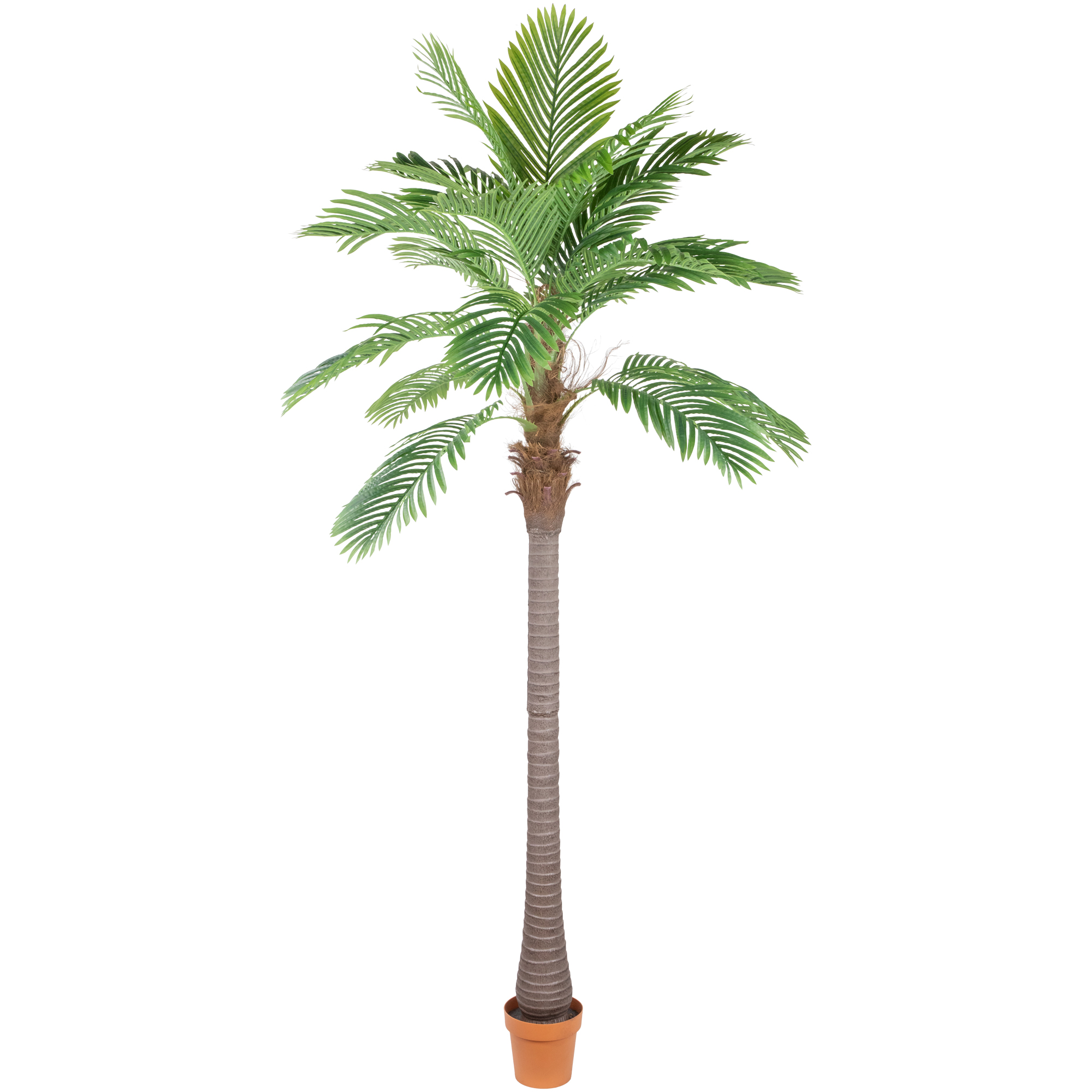 Northlight 8' Unlit Artificial Potted Phoenix Palm Tree