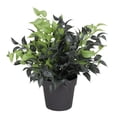 thumbnail image 1 of Northlight 9.5" Leafy Artificial Potted Foliage - Green/Brown, 1 of 2