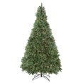 thumbnail image 1 of Northlight 9.5' Prelit Medium Buffalo Fir Artificial Christmas Tree - Clear Lights, 1 of 3