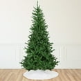 thumbnail image 1 of Northlight Winona Fir Artificial Christmas Tree - 9.5' - Unlit, 1 of 6