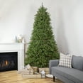 thumbnail image 1 of Northlight 9' Pre-Lit Rockwood Pine Artificial Christmas Tree, Multi Lights, 1 of 6