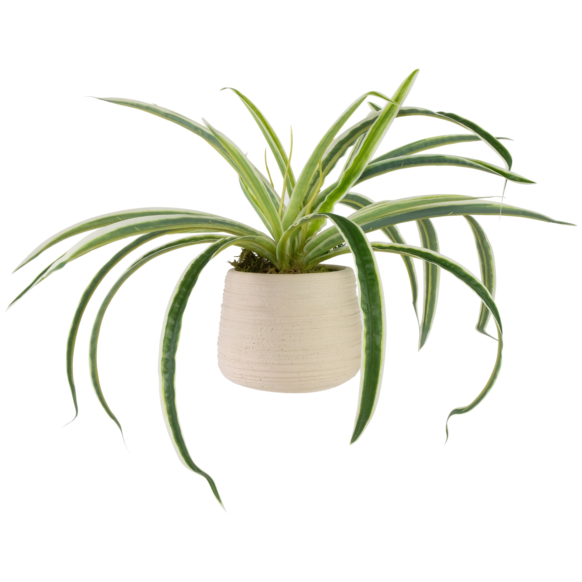 Artificial Dracaena Plant in Beige Ceramic Pot, 20 inches