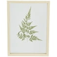 thumbnail image 1 of Northlight Artificial Fern Leaf Wooden Framed Wall Art - 11.75", 1 of 7