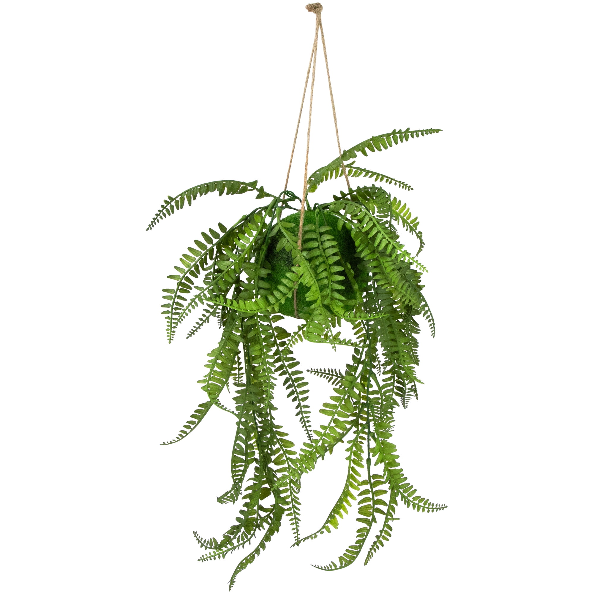 Northlight Artificial Fern Plant with Moss Ball and Hanging Jute Cord - 18"