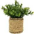 thumbnail image 1 of Northlight Milan Leaf Artificial Mini Bush In Rattan Basket - 7", 1 of 7