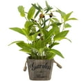 thumbnail image 1 of Northlight Artificial Olive Plant in Rustic Pot with Handles - 14", 1 of 7