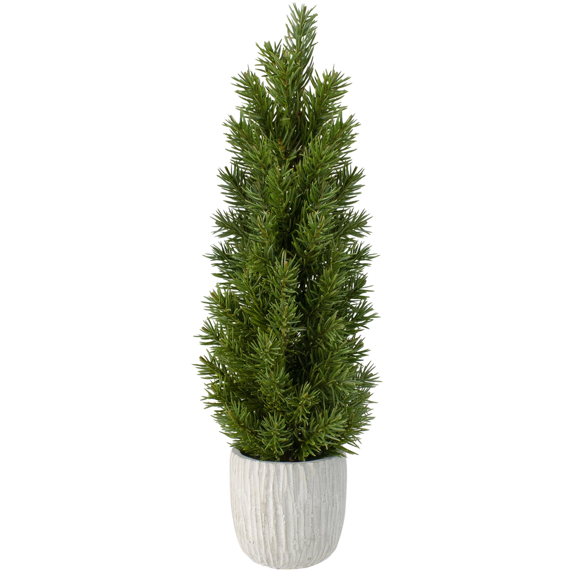 Northlight Assorted Color Potted Pine Christmas Tree, 1