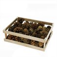 thumbnail image 1 of Northlight Assorted Pine Cones for Crafting or Display in Wooden Box, 1 of 2