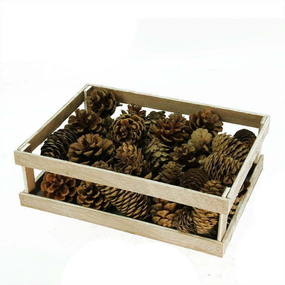 Northlight Assorted Pine Cones for Crafting or Display in Wooden Box