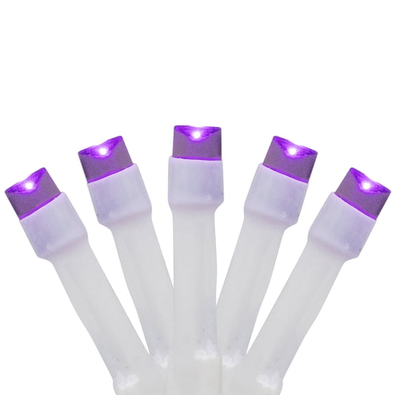 Northlight LED Wide Angle Halloween Lights - Purple - 10' White Wire - 20ct