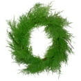 thumbnail image 1 of Northlight Plastic Decorated Pine Wreath, 24" (Green), 1 of 5