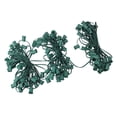 thumbnail image 1 of Northlight Commercial C9 Christmas Light Socket Set - 100' - 12" Spacing Green Wire, 1 of 3