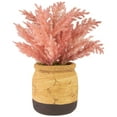 thumbnail image 1 of Northlight Artificial Astilbe Plant in a Ceramic Pot - 12" - Pink, 1 of 6