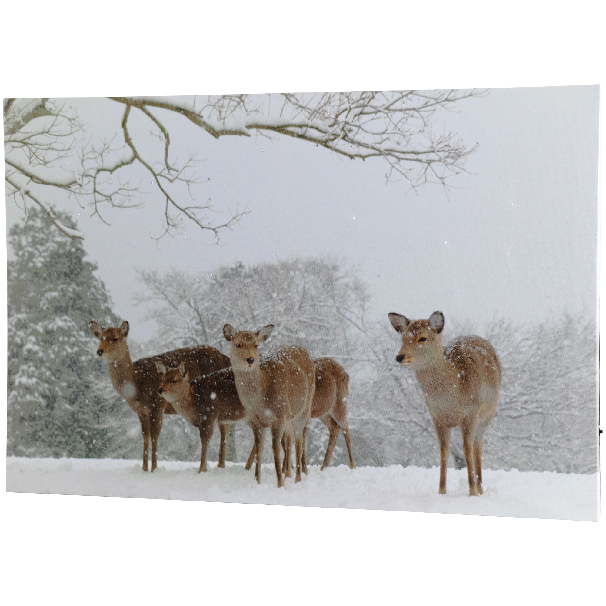 Winter Forest Deer Scene Fiber Optic Lighted Canvas Art