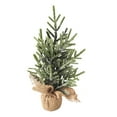 thumbnail image 1 of Northlight Frosted Pine Tree with Natural Jute Base Christmas Decoration - 13.25", 1 of 3