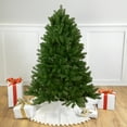 thumbnail image 1 of Northlight Full Sierra Noble Fir Artificial Christmas Tree - 4' - Unlit, 1 of 6