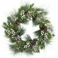 thumbnail image 1 of Northlight Glittered White Berry and Pinecone Artificial Christmas Wreath, 30-Inch, Unlit, 1 of 3