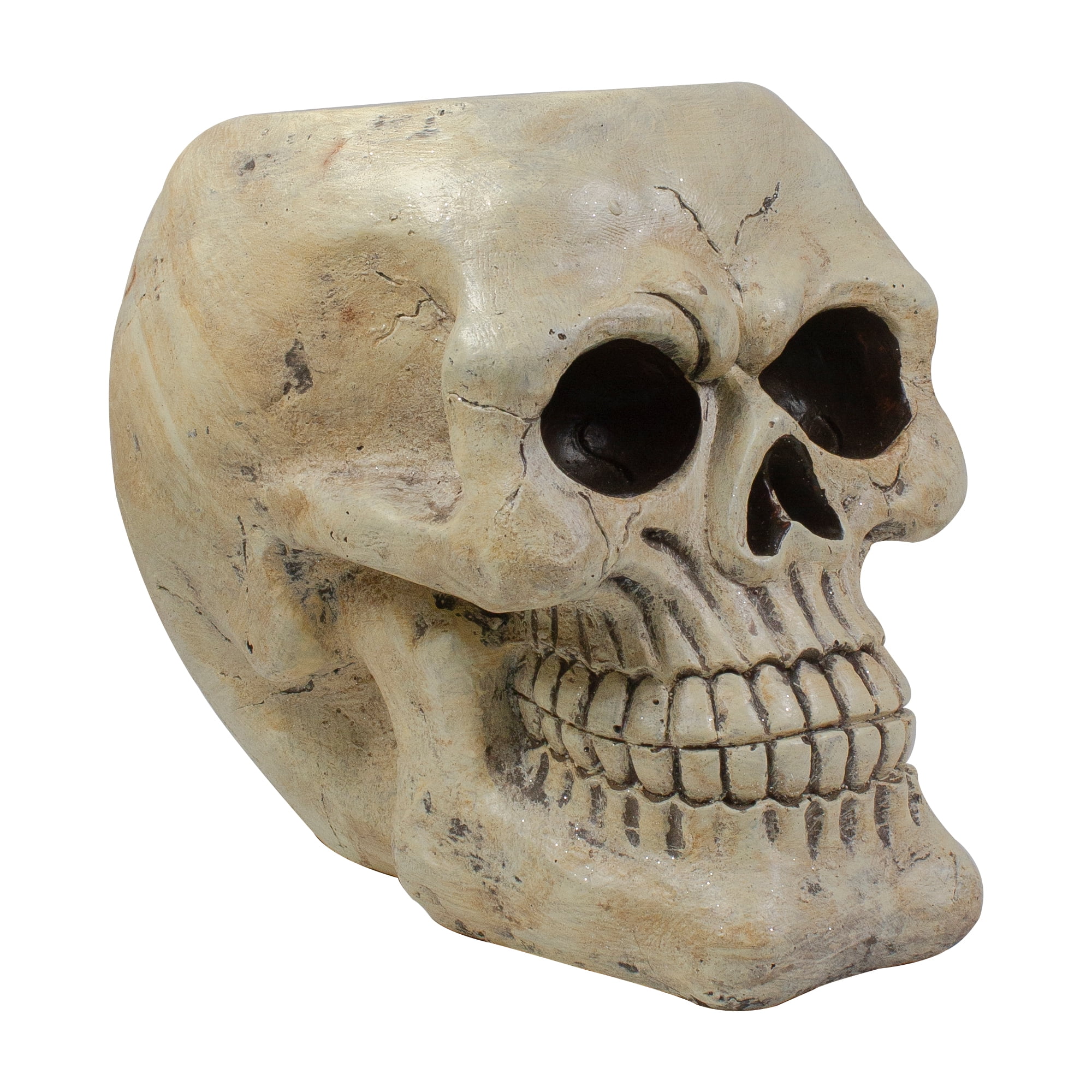 11" Ivory and Black Resin Halloween Skull Tabletop Decoration
