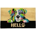 thumbnail image 1 of Northlight Ivory and Black "Hello" Multicolor Dog Outdoor Coir Doormat 18" x 30", 1 of 6