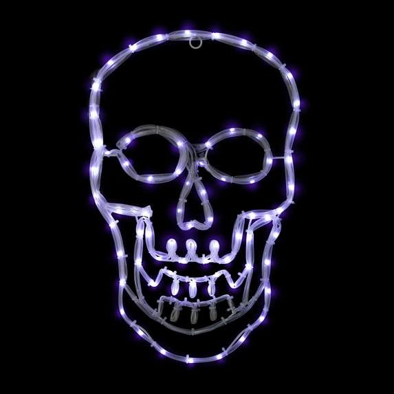 Northlight LED Lighted 4 Function Skull Halloween Window Decoration - 18"