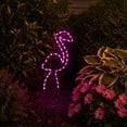 thumbnail image 1 of Northlight LED Rope Lighted Flamingo Silhouette Outdoor Decoration - 24" - Pink Lights, 1 of 9