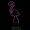 thumbnail image 1 of Northlight LED Rope Lighted Flamingo Silhouette Outdoor Decoration - 24" - Pink Lights, 1 of 3