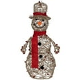 thumbnail image 1 of Northlight Lighted Glittered Snowman and Berries Outdoor Christmas Decoration - 28", 1 of 6