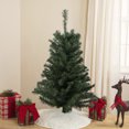 thumbnail image 1 of Northlight Medium Blackwater Fir Artificial Christmas Tree - 2' - Unlit, 1 of 7