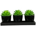 thumbnail image 1 of Northlight Mini Artificial Potted Succulents with Wood Planter - 5" - Set of 3, 1 of 6