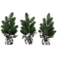 thumbnail image 1 of Northlight Mini Iced Pine Artificial Christmas Trees - 10" - Set of 3, 1 of 5