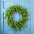 thumbnail image 1 of Northlight Mixed Boxwood Fern Artificial Wreath - 24", 1 of 10