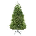 thumbnail image 1 of Northlight Northern Pine Full Classic Pre-lit Christmas Tree, 1 of 2