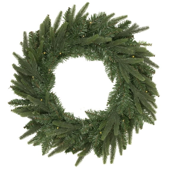 Northlight Pre-Lit Roosevelt Fir Artificial Christmas Wreath - 24-Inch, Warm White LED Lights