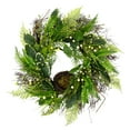 thumbnail image 1 of Northlight Bird's Nest in Mixed Foliage Artificial Spring Wreath  - 24", 1 of 9