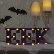 Northlight Plastic Sign