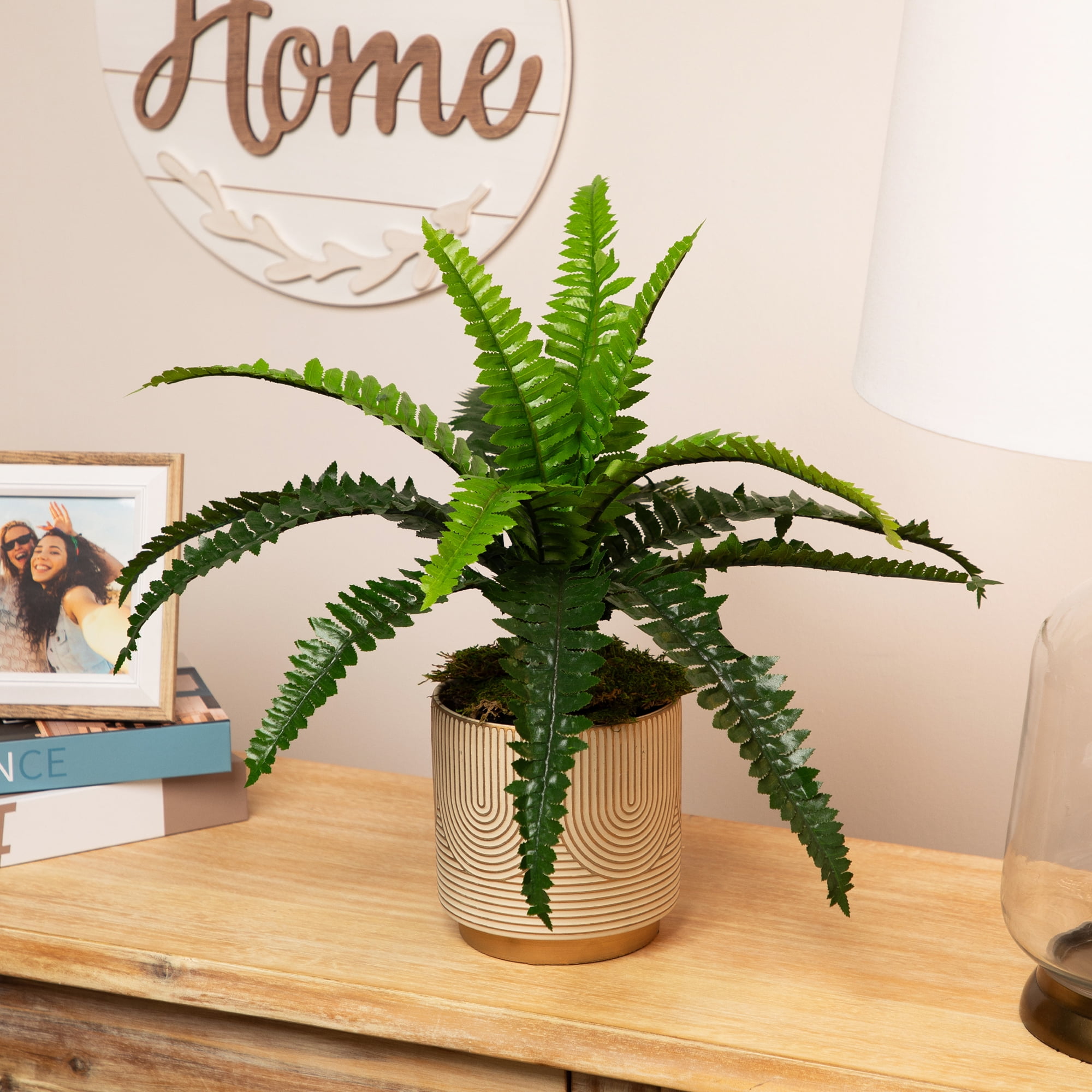 19" Green Plastic Potted Boston Fern Plant