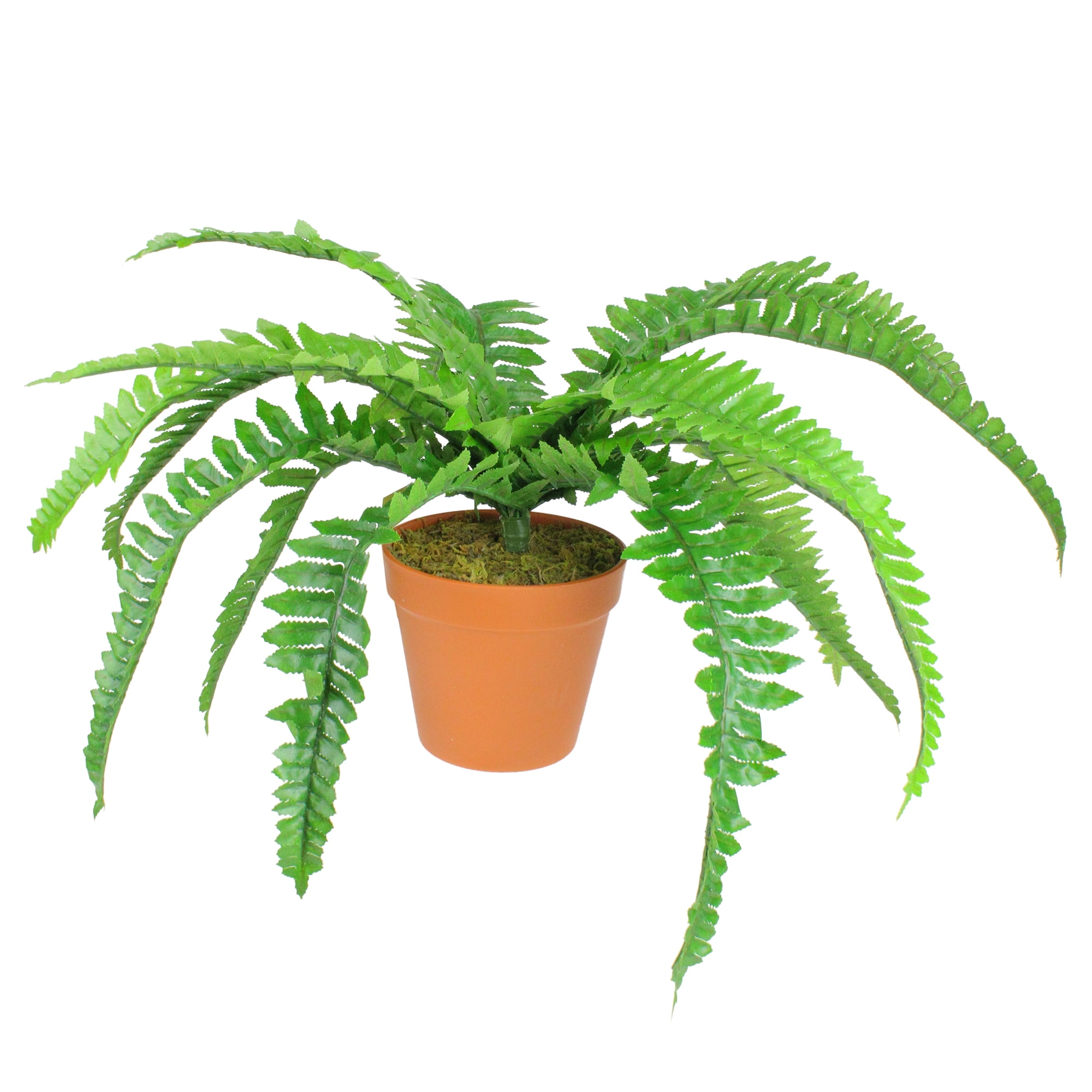 19" Green Plastic Potted Boston Fern Plant