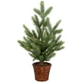 thumbnail image 1 of Northlight Pre-Lit Artificial Pine Christmas Tree with Basket Base - 20" - Warm White LED Lights, 1 of 5