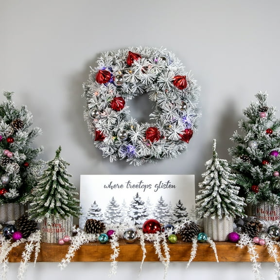 Northlight Pre-Lit Battery Operated Snowy Bristle Pine Christmas Wreath - 24" - Dual Color LED