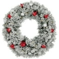 thumbnail image 1 of Northlight Pre-Lit Battery Operated Snowy Bristle Pine Christmas Wreath - 30" - Warm White LED, 1 of 5