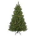 thumbnail image 1 of Northlight Clear Prelit Incandescent Green Full Canadian Pine Artificial Christmas Tree, 6', 1 of 7