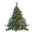 thumbnail image 1 of Northlight Pre-Lit Country Mixed Pine Artificial Christmas Wall or Door Tree - 3' - Clear Lights, 1 of 4