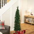 thumbnail image 1 of Northlight Pre-Lit Pencil Alpine Artificial Christmas Tree - 5' - Clear Lights, 1 of 8