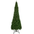 thumbnail image 1 of Northlight Pre-Lit Pendleton Spruce Slim Artificial Christmas Tree Clear Lights, 1 of 8