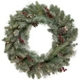 thumbnail image 1 of Northlight Pre-Lit Snowy Waterloo Pine Artificial Christmas Wreath - 24-Inch, Clear Lights, 1 of 5