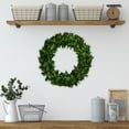 thumbnail image 1 of Northlight Preserved Leaf Spring Garden Wreath - 20" - Unlit, 1 of 7