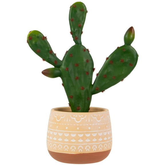 Northlight Real Touch Artificial Green and Red Potted Floral Cactus - 9.5"