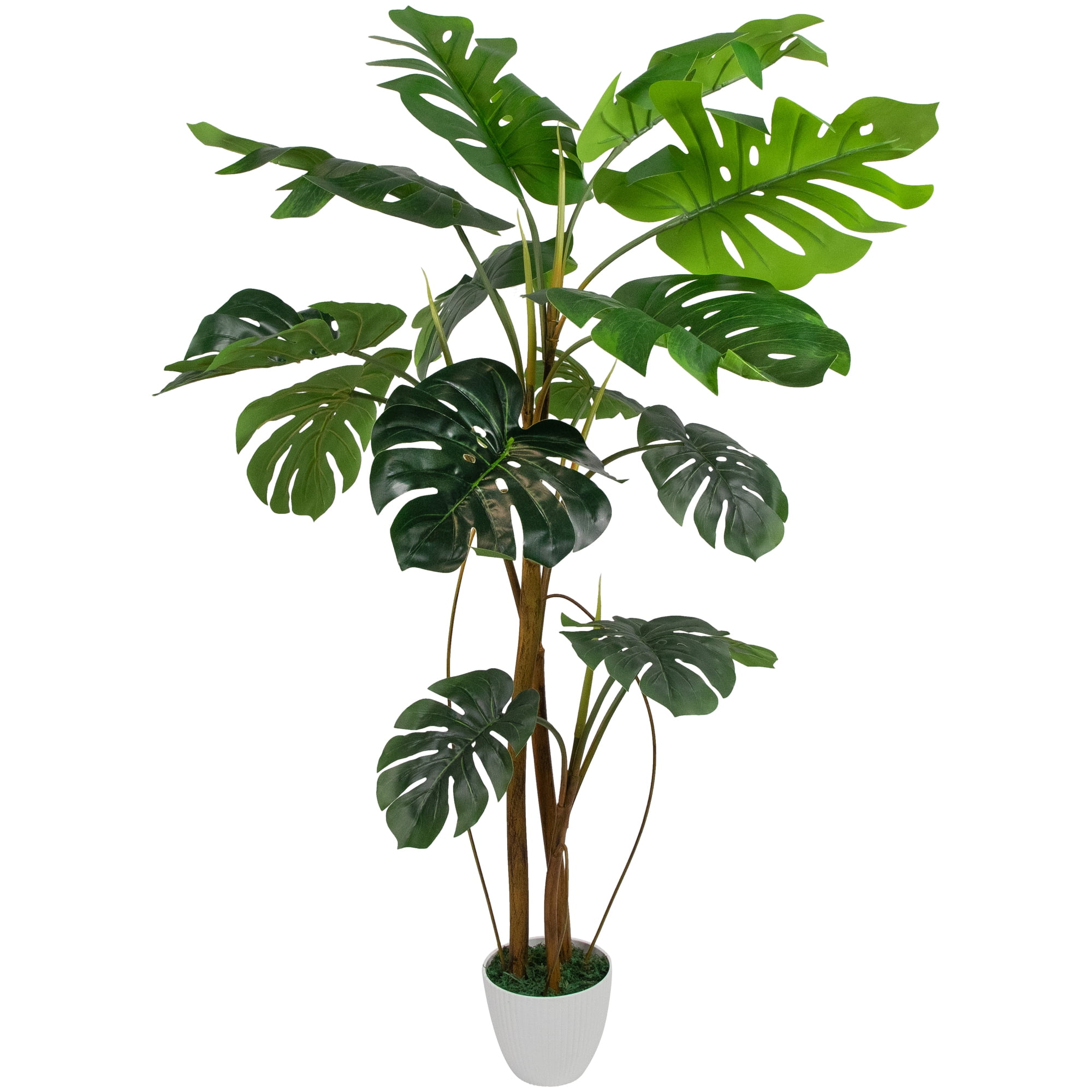 Real Touch Green Monstera Plant in White Textured Pot
