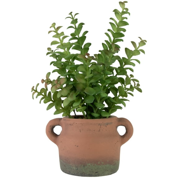 Northlight Real Touch™ Artificial Privet Plant in Vintage Milk Can Style Earthenware Pot - 14"