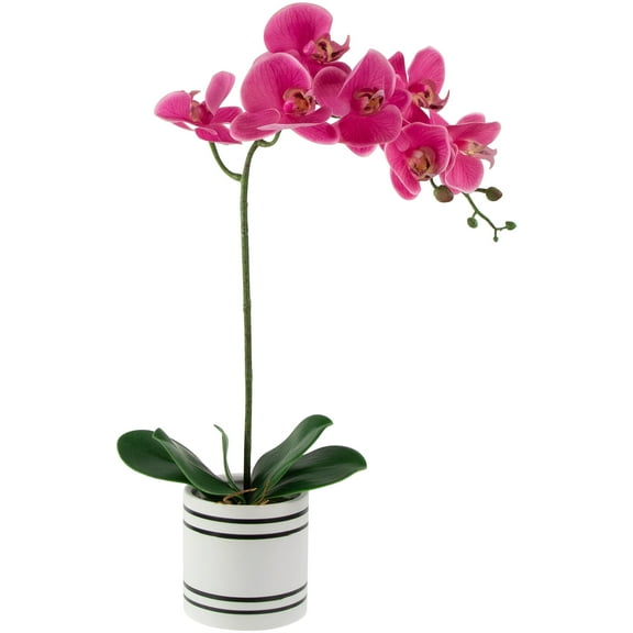 Northlight Real Touch Artificial Spring Orchids in a Striped Ceramic Pot - 2' - Pink